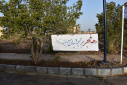 آذین بندی محیط دانشگاه بمناسبت دهه مبارک فجر