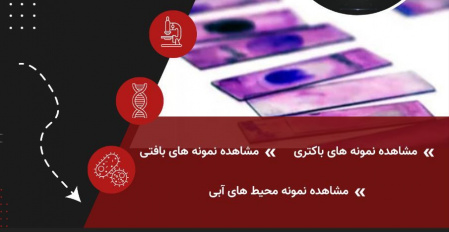 انجمن علمی زیست شناسی سلولی و مولکولی برگزار می کند: (( کارگاه مشاهده انواع نمونه های لام))